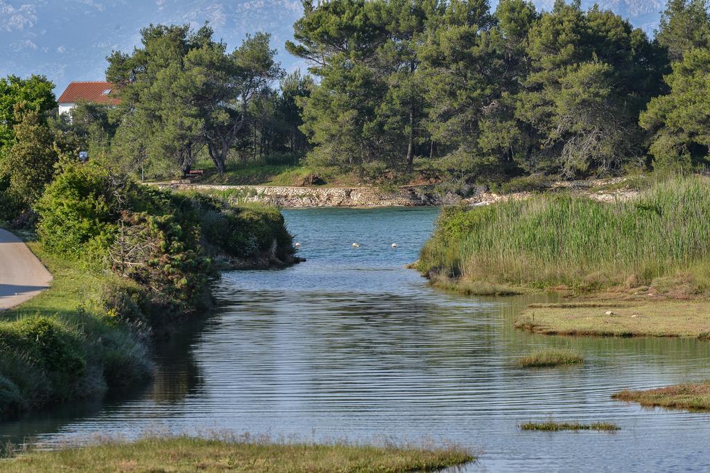 Amazing Villa Ele Zaton  Εξωτερικό φωτογραφία